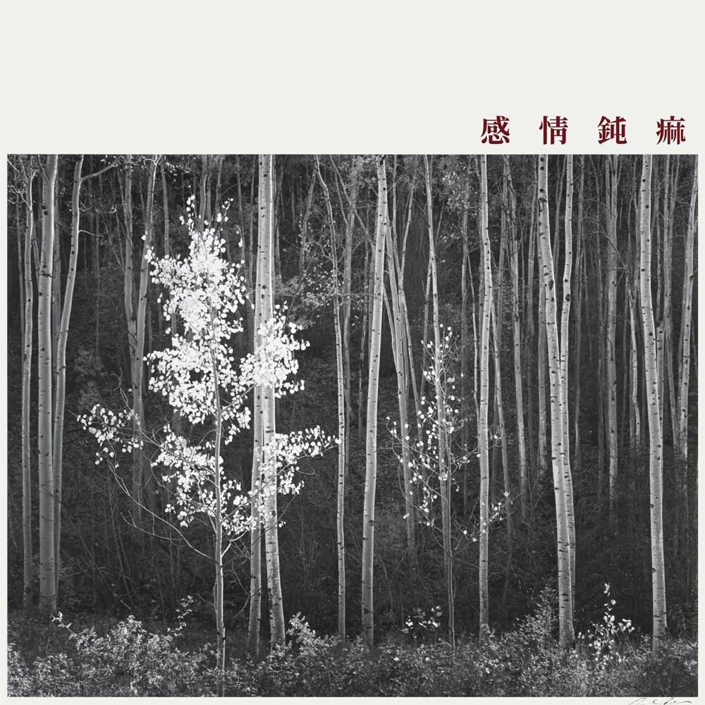 본문 이미지 - 신해경/비스포크 제공 ⓒ 뉴스1