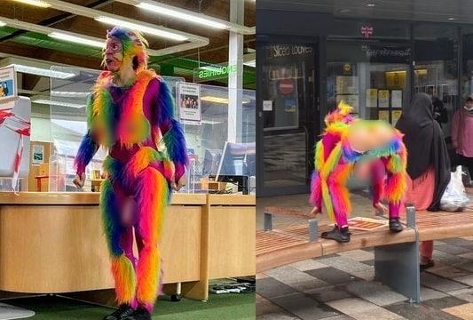 본문 이미지 - 영국의 한 도서관에서 열린 행사에 등장한 원숭이 코스프레가 뭇매를 맞았다. (트위터 갈무리) ⓒ 뉴스1