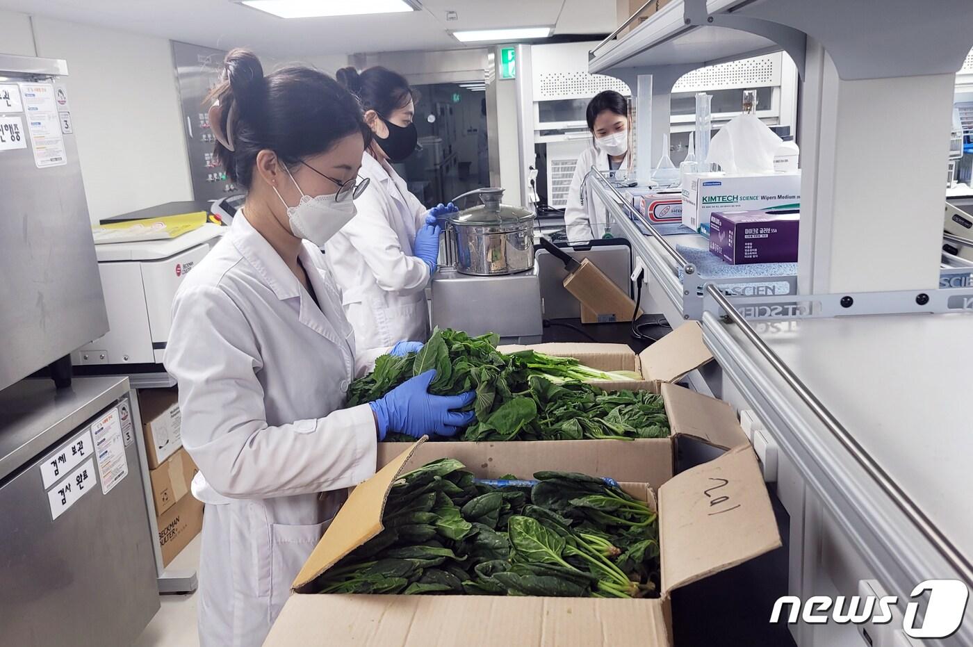 본문 이미지 - 광주시 보건환경연구원 연구원들이 지역 농산물에 대한 잔류농약 검사를 하고 있다.(광주시 제공)2021.7.14/뉴스1 ⓒ News1 박준배 기자