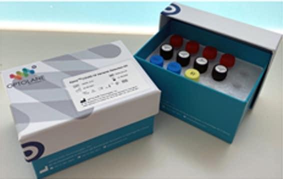 본문 이미지 - 'KAIRATM COVID-19 Variant Detection Kit'(사진제공=옵토레인) ⓒ 뉴스1