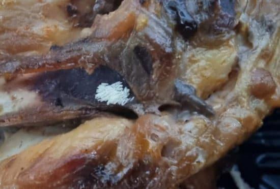 본문 이미지 - 최근 한 누리꾼이 공개한 노점상에서 구매한 닭요리. 뼈 부위에 하얀 파리알들이 붙어있다. (온라인 커뮤니티 갈무리) ⓒ 뉴스1