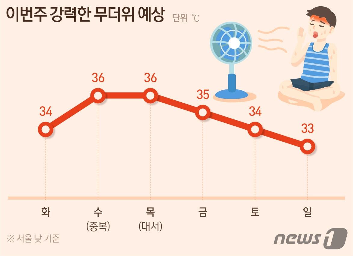 본문 이미지 - ⓒ News1 최수아 디자이너