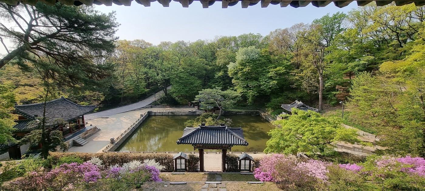 본문 이미지 - 규장각에서 내려다 본 부용지 일대 풍경. 문화재청 제공