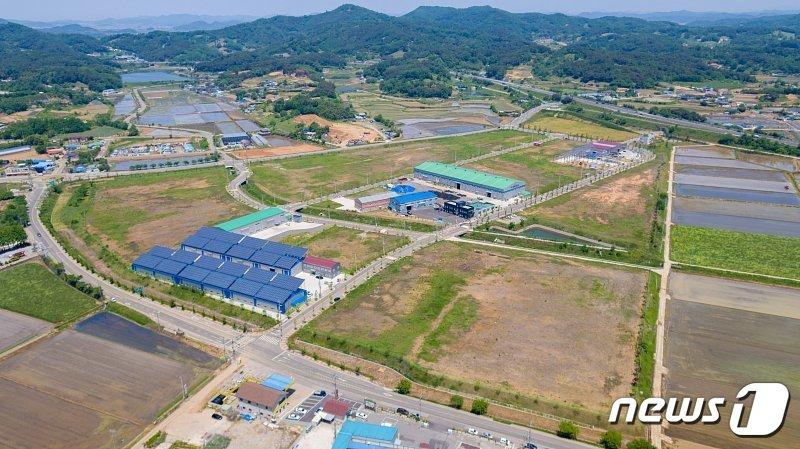 본문 이미지 - (사진은 기사 내용과 무관함) / 뉴스1 ⓒ News1