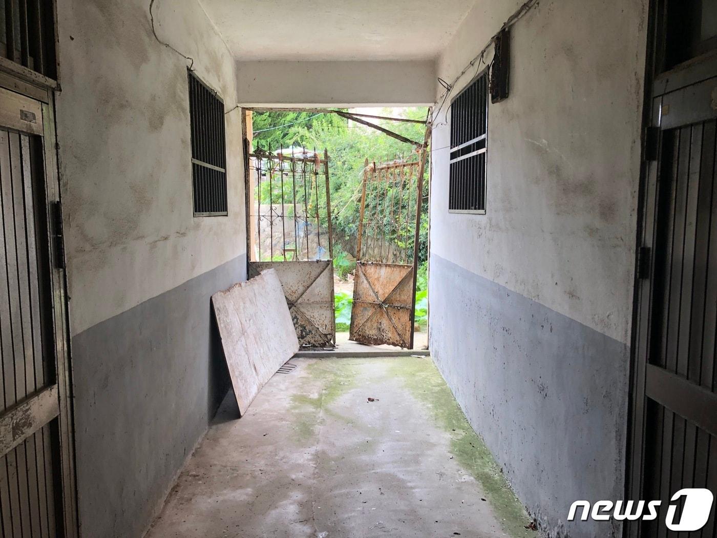 본문 이미지 - 공포 체험객들이 몰리는 노후 아파트의 복도.2021.7.20/ⓒ 뉴스1 백창훈 기자