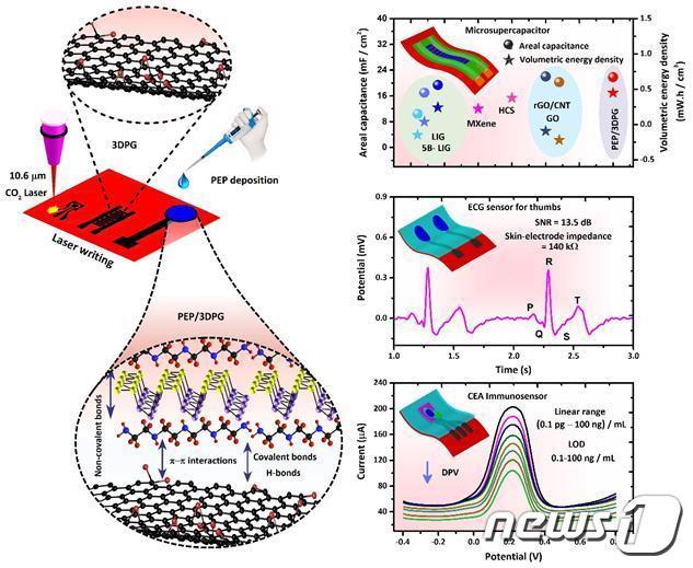 본문 이미지 - 3차원 다공성 그래핀 전극 개념도와 제작된 암 진단 센서, 심전도 센서, 마이크로 수퍼커패시터 성능.(광운대 제공)/뉴스1 ⓒ 뉴스1