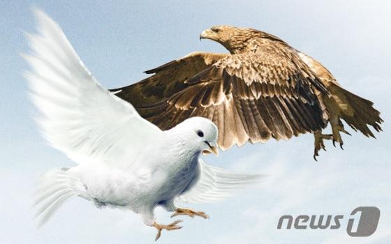 본문 이미지 - ⓒ News1 이은현 디자이너