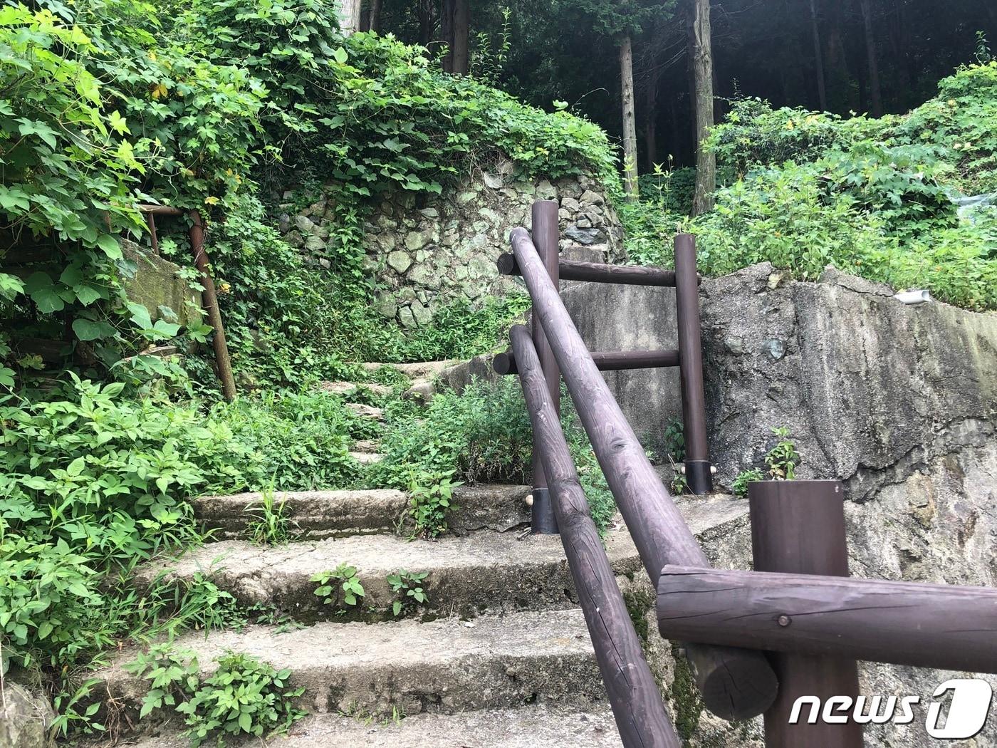 본문 이미지 - 부산 서구 시약산 일대 등산로.ⓒ 뉴스1 백창훈 기자