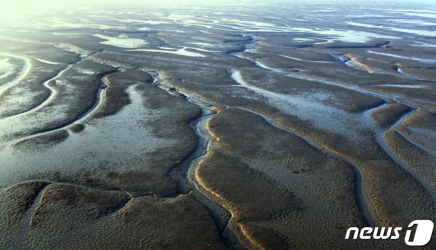 본문 이미지 - 신안갯벌의 모습.(신안군 제공)/뉴스1