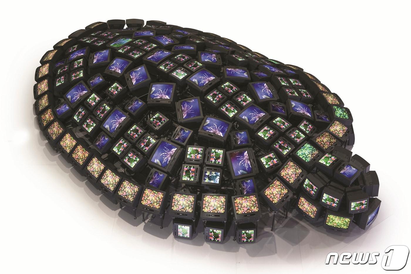 백남준 &#39;거북&#39;. /뉴스1 ⓒ News1 DB