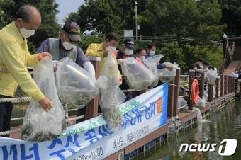 본문 이미지 - 황선봉 예산군수와 이승구 예산군의회 의장을 비롯해 예당내수면어업계 어업계원 등이 내수면 생태 활성화 및 어족자원 조성을 위해 붕어종자를 방류하고 있다.(예산군 제공).ⓒ 뉴스1