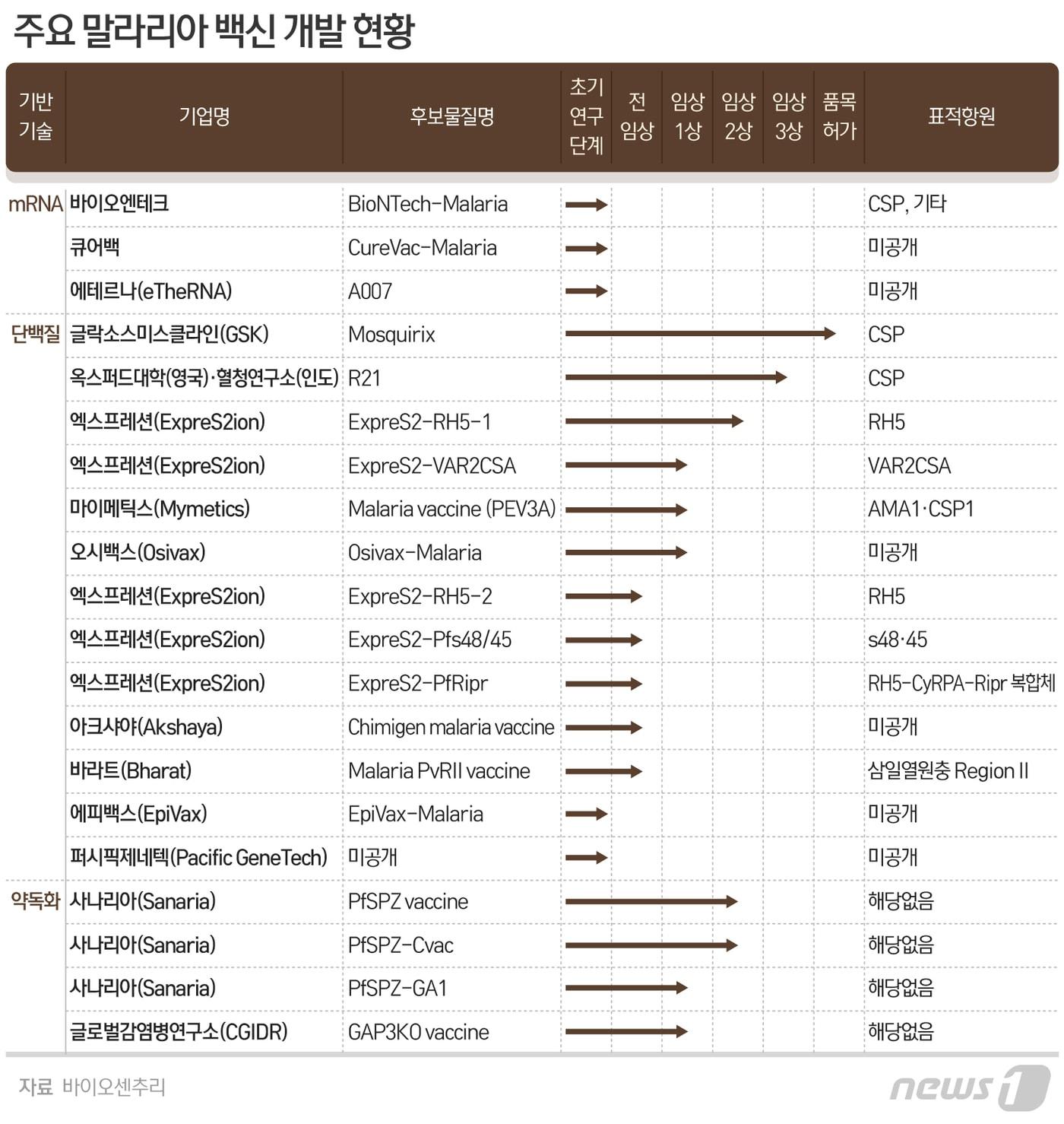 본문 이미지 - ⓒ News1 최수아 디자이너