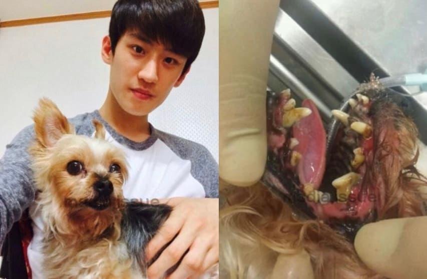 본문 이미지 - 최근 온라인에 공개된 이대훈 선수와 반려견 해피의 사진. (온라인 커뮤니티 갈무리) ⓒ 뉴스1