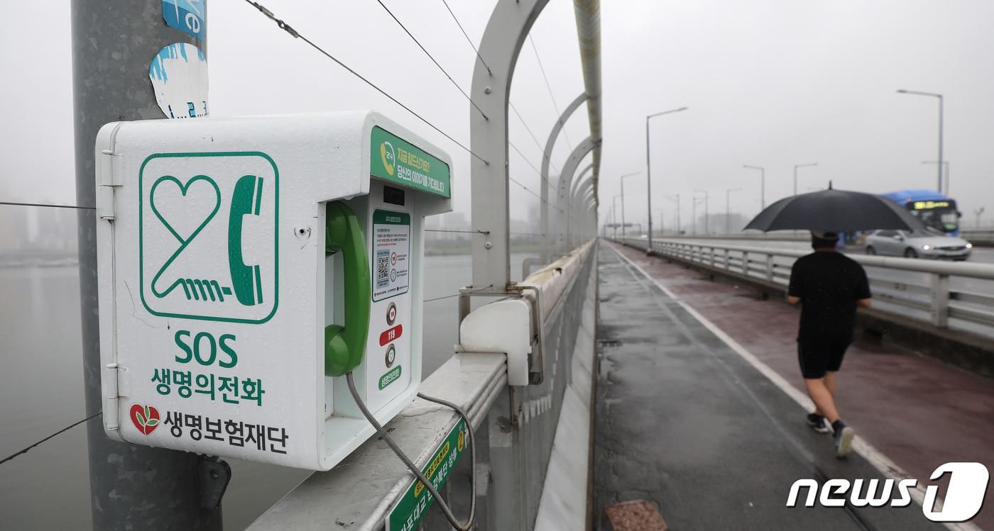 본문 이미지 - ⓒ News1 임세영 기자