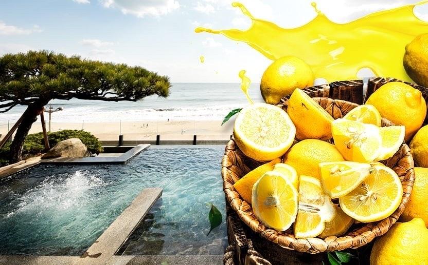 본문 이미지 - 파라다이스호텔 부산 '썸머 레몬 스파'.ⓒ 뉴스1