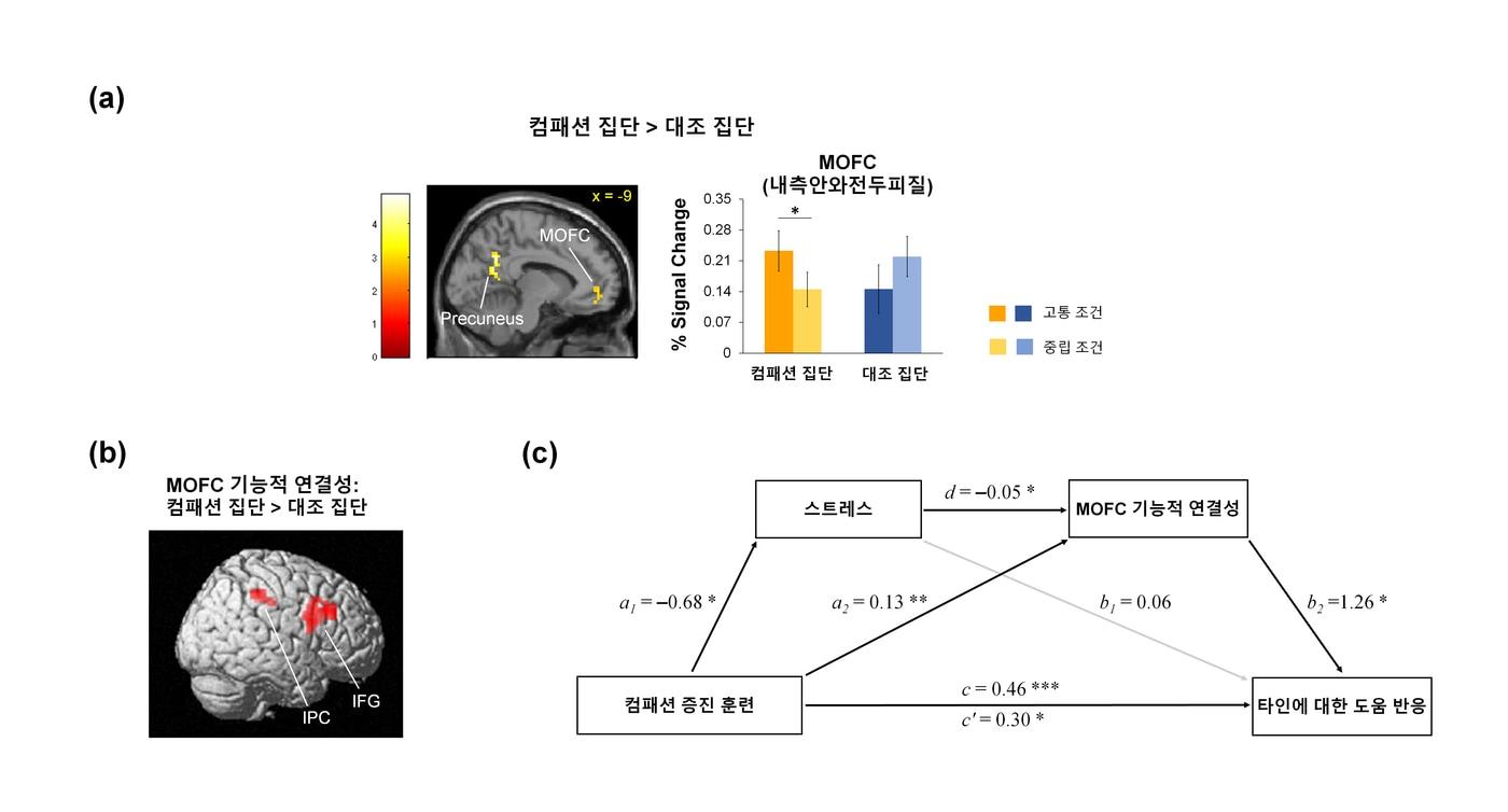 &#40;고려대 제공&#41;/뉴스1 ⓒ 뉴스1