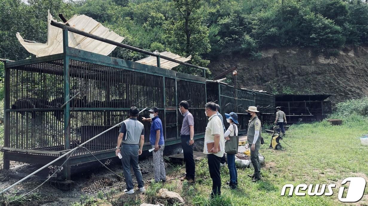 본문 이미지 - 곰 사육장. (용인시 제공) ⓒ News1 김평석 기자