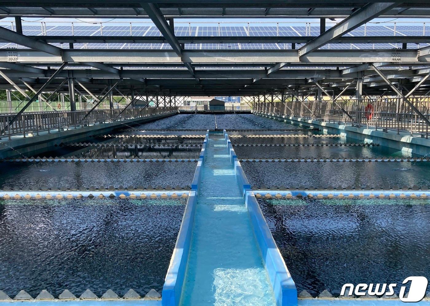 본문 이미지 - (사진은 기사 내용과 무관함) / 뉴스1 ⓒ News1