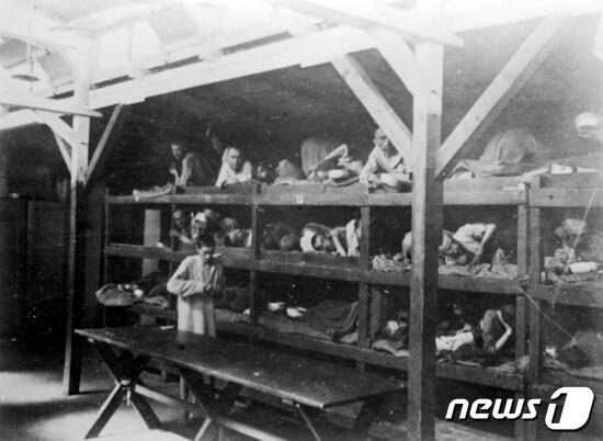 본문 이미지 - 제2차 세계대전 당시 독일 아우슈비츠 수용소. ⓒ 로이터=뉴스1