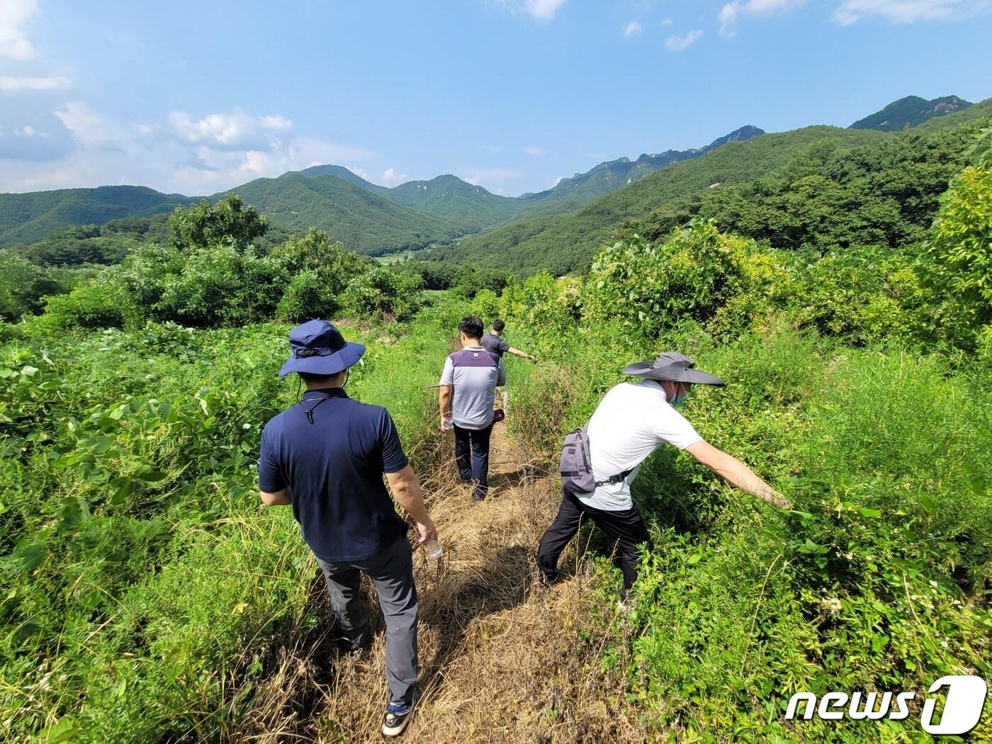 본문 이미지 - 충북 보은 속리산 일대에서 경찰과 동원인력이 실종자를 수색 중이다. ⓒ 뉴스1