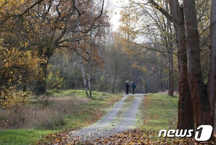 본문 이미지 - 희생자 B씨의 시신 일부가 발견된 베를린 교외 공원 ⓒ AFP=뉴스1