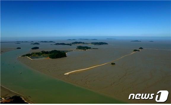 본문 이미지 - 갯벌ⓒ 뉴스1