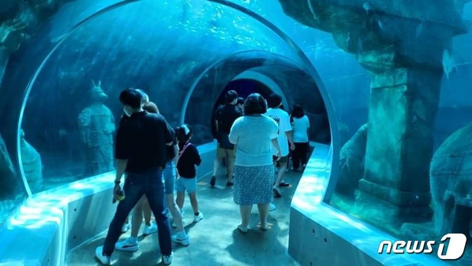 본문 이미지 - 사천 아라마루 아쿠아리움 물범 수조. ⓒ 뉴스1