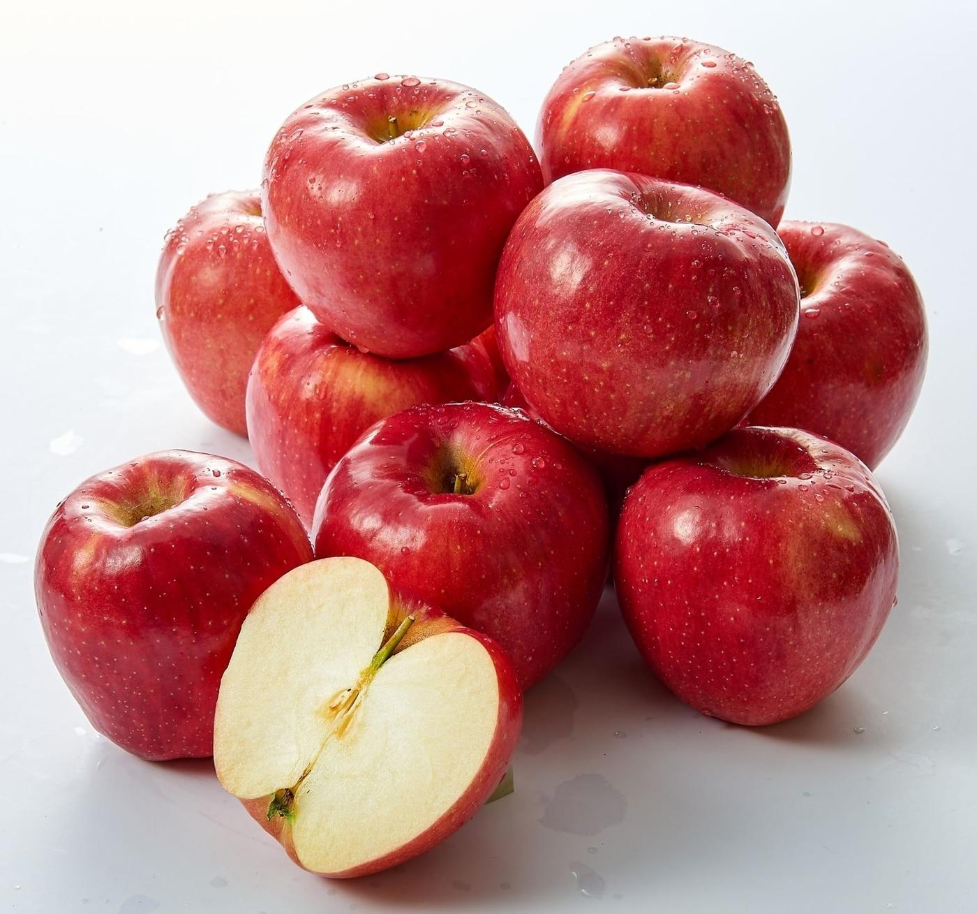 본문 이미지 - (롯데쇼핑 제공) ⓒ 뉴스1