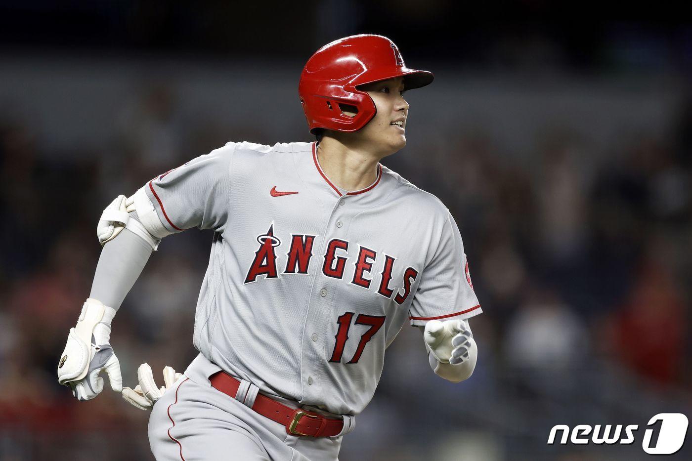 본문 이미지 - 메이저리그 홈런 1위를 기록 중인 오타니 쇼헤이. ⓒ AFP=뉴스1 