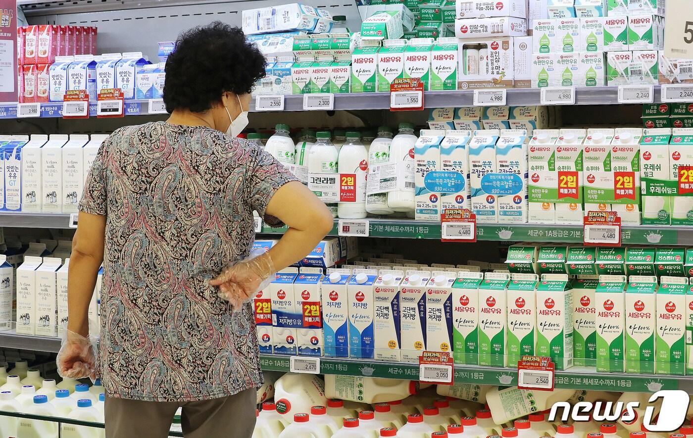 우유의 원재료인 원유(原乳) 가격 협상이 끝내 결렬되면서 당장 이달부터 원윳값이 리터당 21원씩 오르게 됐다. 우유를 시작으로 각종 우유 관련 제품 가격이 연달아 오르는 이른바 '밀크플레이션(우유제품발 물가 인상)'이 현실화할 분위기다. 18일 서울의 한 대형마트에서 한 고객이 우유를 살펴보고 있다. 2021.8.18/뉴스1 ⓒ News1 박지혜 기자