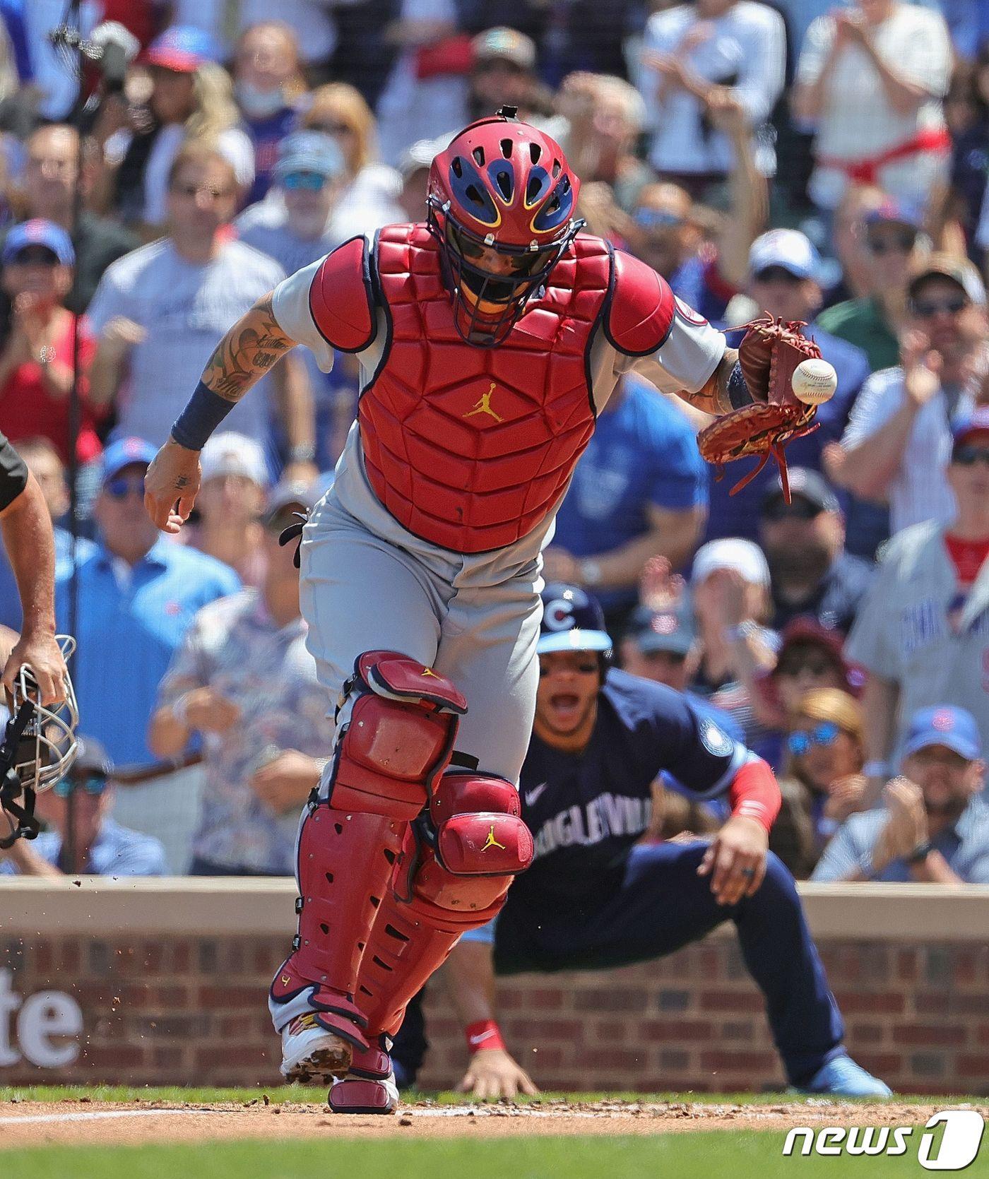 본문 이미지 - 세인트루이스 카디널스 야디에르 몰리나. ⓒ AFP=뉴스1