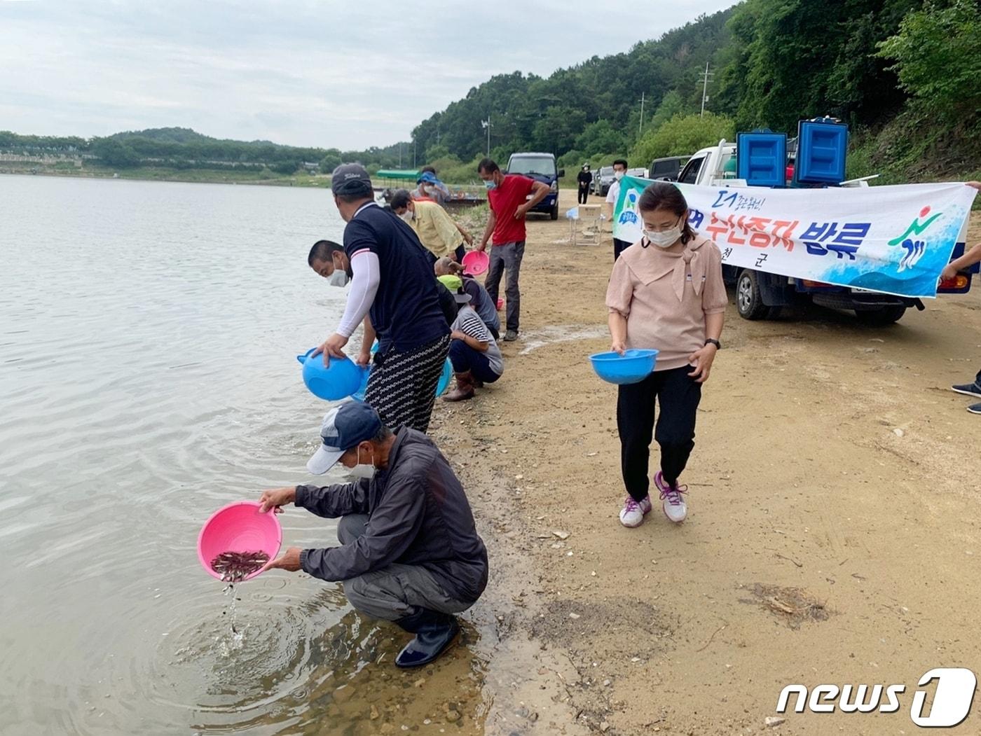 본문 이미지 - 충북 옥천군 관계자들이 안남면 연주리 독락정 인근 대청호에 토종붕어를 방류하고 있다.(옥천군 제공).2021.8.4/ⓒ 뉴스1