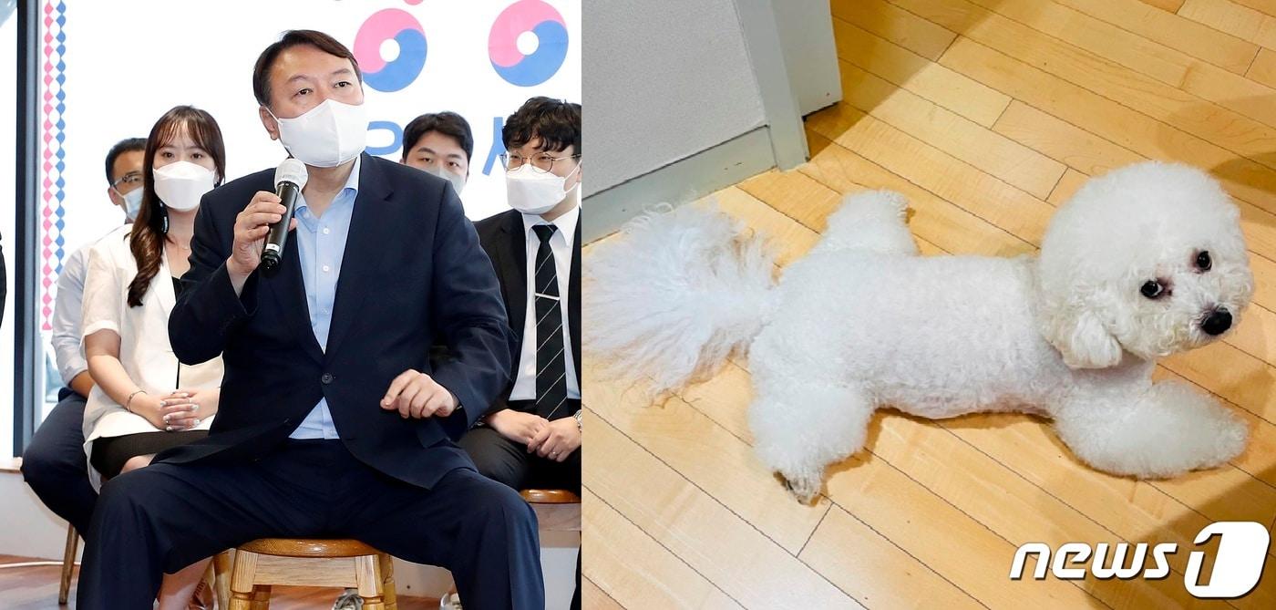 윤석열 전 검찰총장과 반려견 마리ⓒ 뉴스1