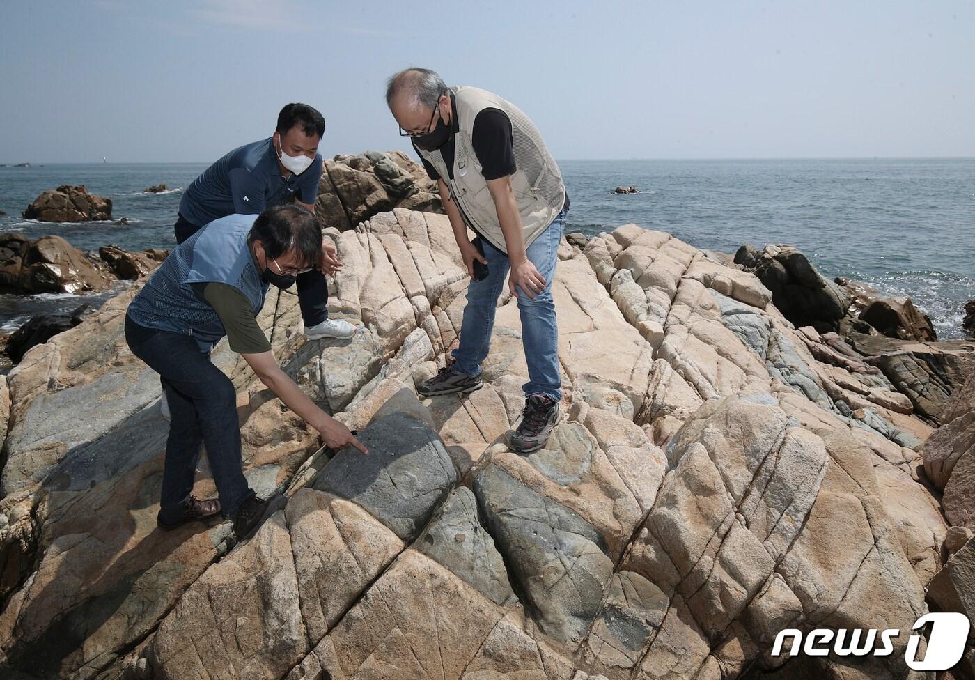 임현수 부산대 교수, 조형성 경상대 교수 등이 4일 세계적으로 보호가 필요한 1등급 지질 자원으로 평가받는 울산 동구 주전동 화강암과 포유암에 대해 설명하고 있다. 2021.8.4 /뉴스1 ⓒ News1 윤일지 기자