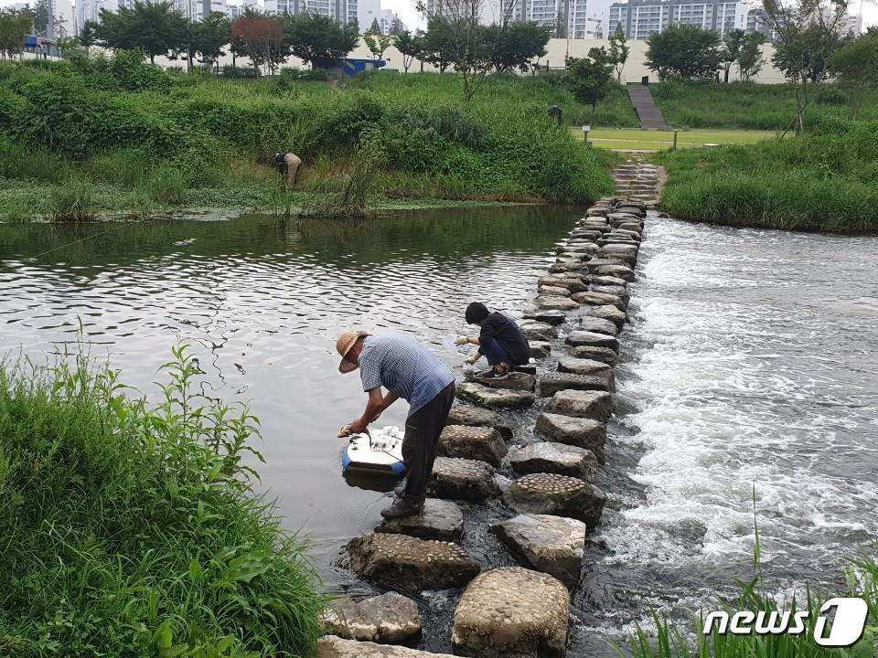 본문 이미지 - (사진은 기사 내용과 무관함) / 뉴스1 ⓒ News1