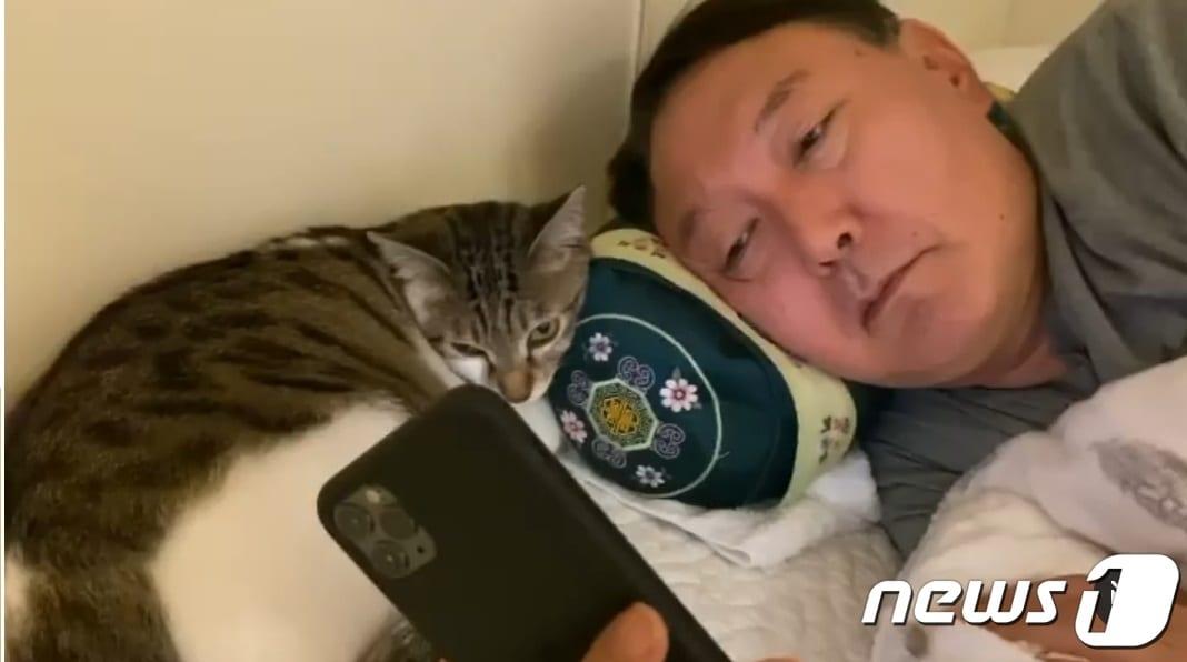 본문 이미지 - 윤석열 전 검찰총장이 반려묘 나비와 머리를 맞대고 누워 휴대전화를 바라보고 있다.(윤석열 전 검찰총장 인스타그램)ⓒ 뉴스1