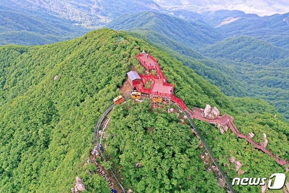 본문 이미지 - 함양대봉산휴양밸리 정상 전경(함양군 제공) ⓒ 뉴스1