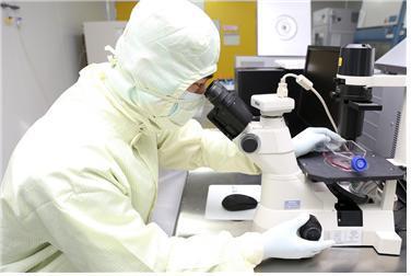 본문 이미지 - 차바이오텍 연구원이 GMP 내 제조실에서 세포치료제를 제조·배양하고 있다.(차바이오텍 제공)ⓒ 뉴스1