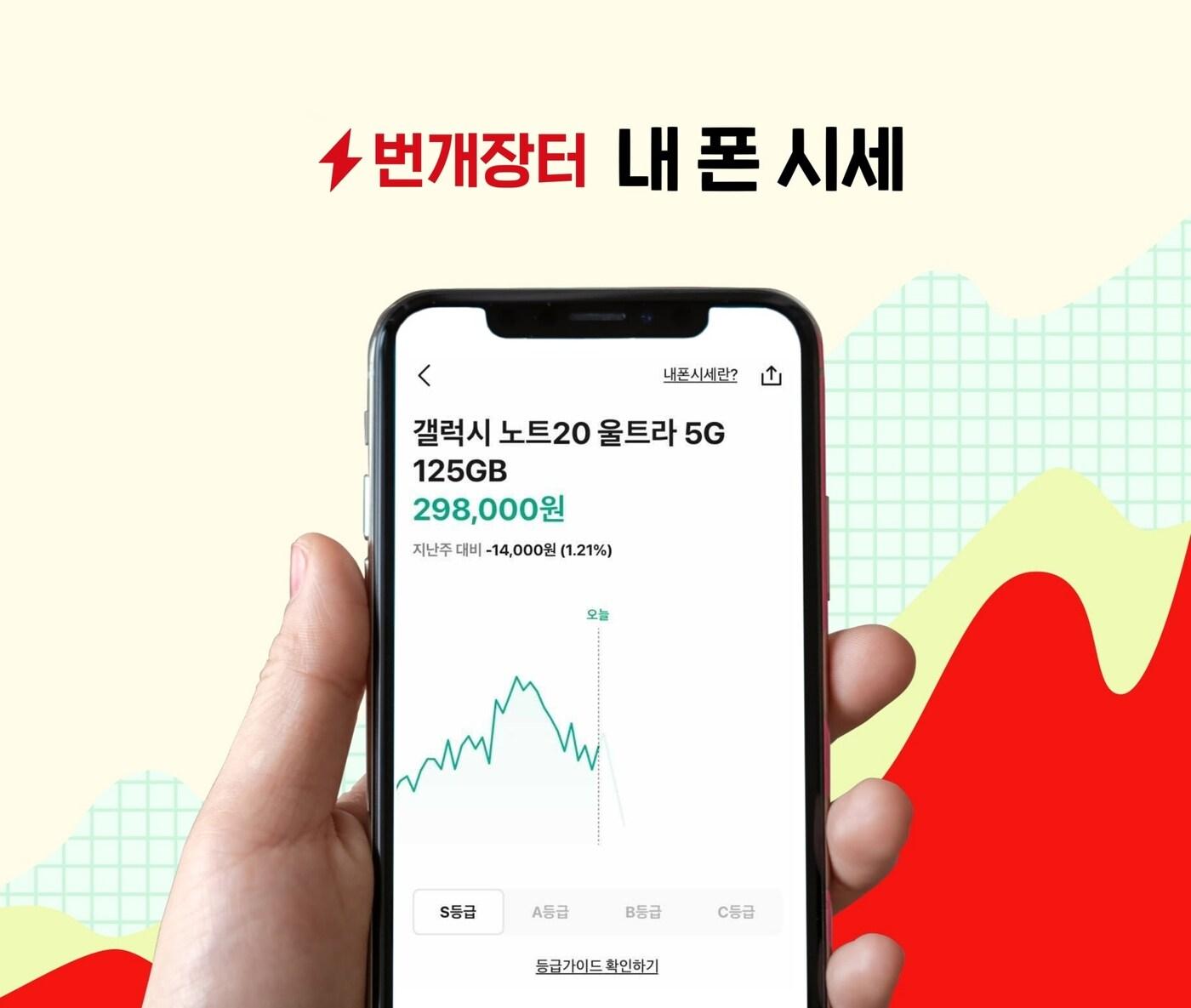 본문 이미지 - (번개장터 제공)