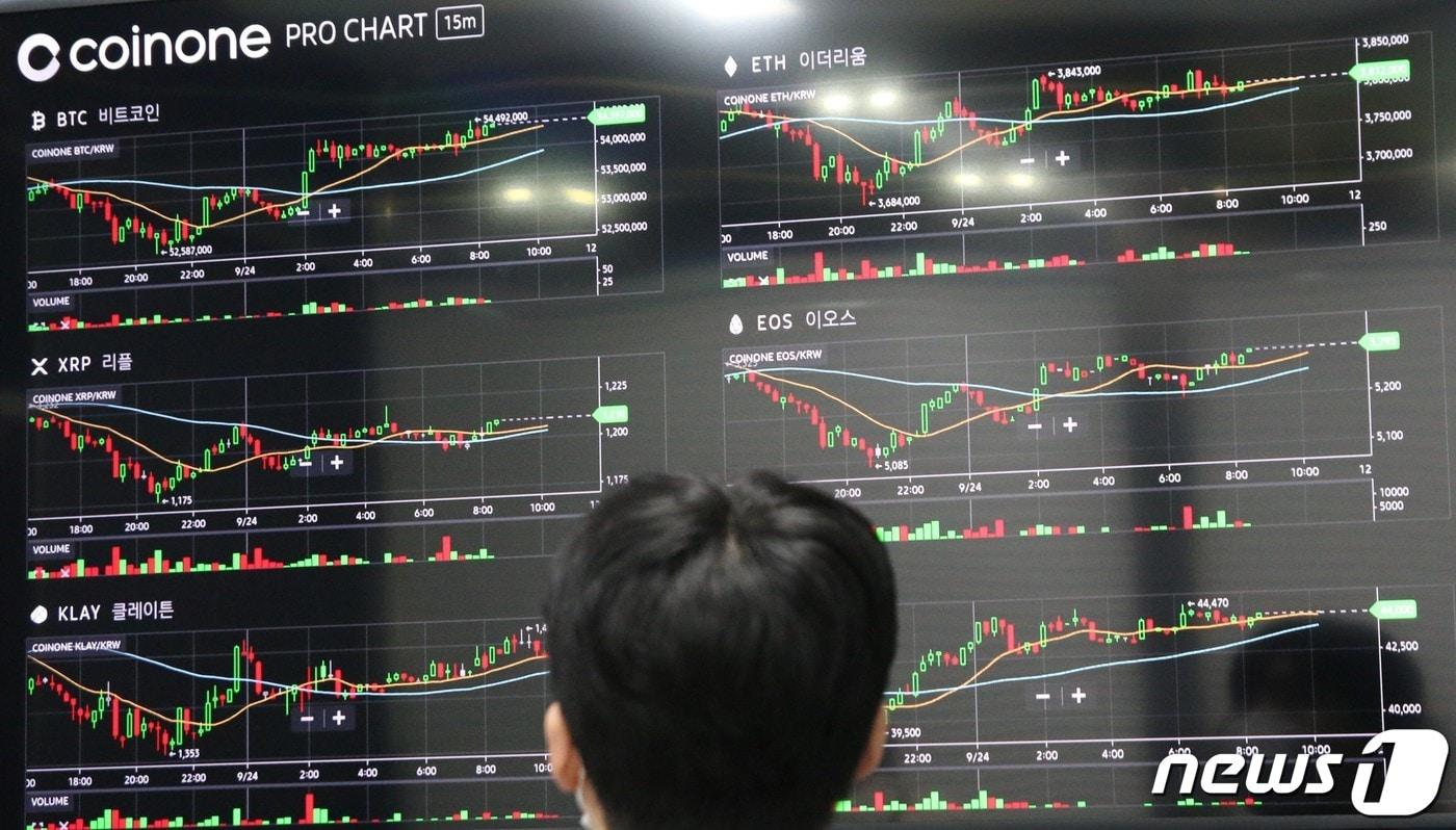 코인업계 지도下]10명 중 1명꼴로 암호화폐 투자…큰손은 10억 이상 - 뉴스1
