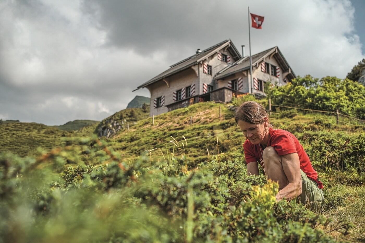 본문 이미지 - 린더넨(Lindernen) 오두막 / 스위스관광청 제공