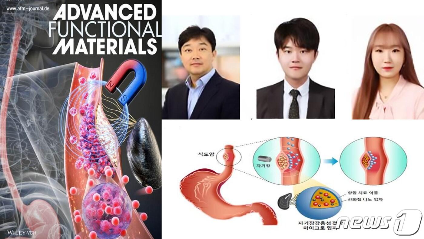 본문 이미지 - 포항공대 차형준 교수와 최현석(석박사통합과정)팀이 경북대학교 의생명융합공학과 조윤기 교수와 공동연구로 홍합 접착단백질에 자기장 감응성을 부여해 접착성 마이크로 입자를 개발하는데 성공했다고 밝혔다. 사진은 세계적인 학술지인 어드밴스드 펑셔널 머티리얼즈의 앞표지에 실린 연구성과, 왼쪽부터 차형준, 조윤기, 최현석씨.(포항공대제공)2021.9.29/ ⓒ 뉴스1