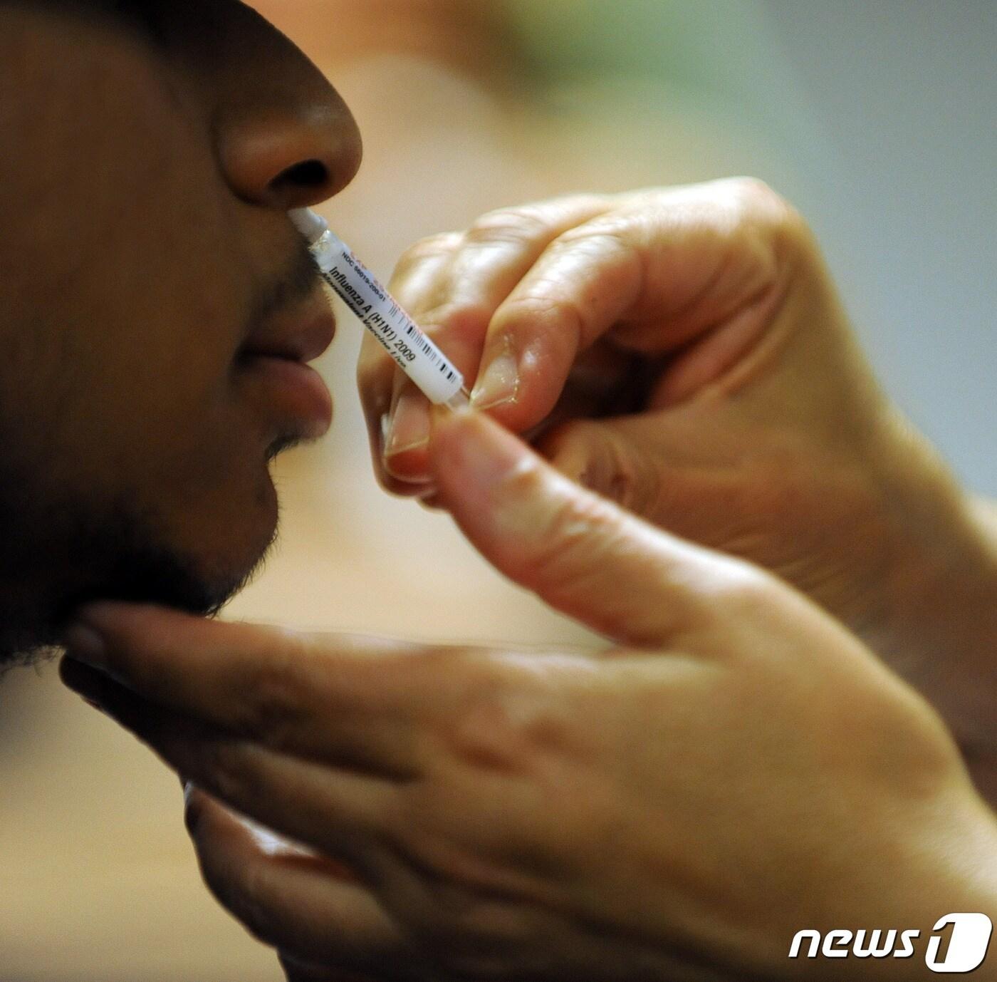 본문 이미지 - ⓒ AFP=뉴스1