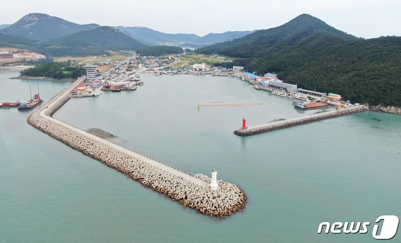 본문 이미지 - 남해 서부지역 꽃게 집산지인 진도 서망항 전경ⓒ 뉴스1