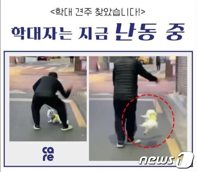 본문 이미지 - 강아지를 학대한 남성의 모습. ⓒ 뉴스1(케어 공식 SNS)