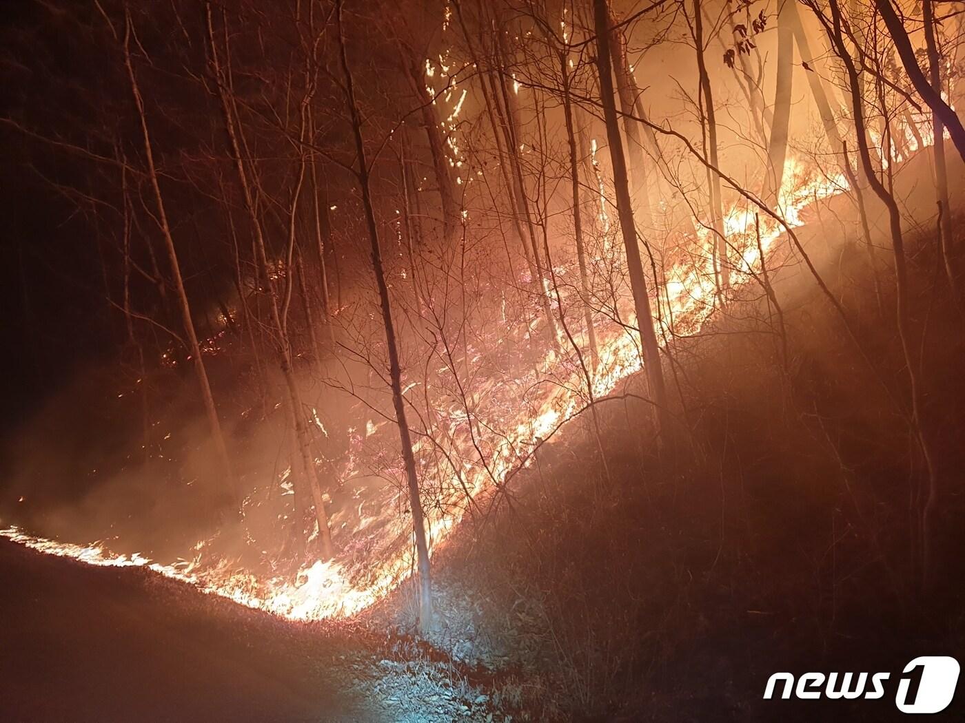 본문 이미지 - 10일 오후 10시22분쯤 경남 창녕군 성산면 대산리 일대 야산에서 불이 났다. 사진은 화재 현장. (경남소방본부 제공) ⓒ 뉴스1