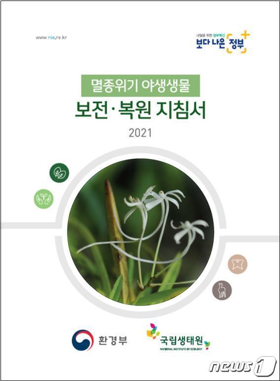 본문 이미지 - ⓒ 뉴스1