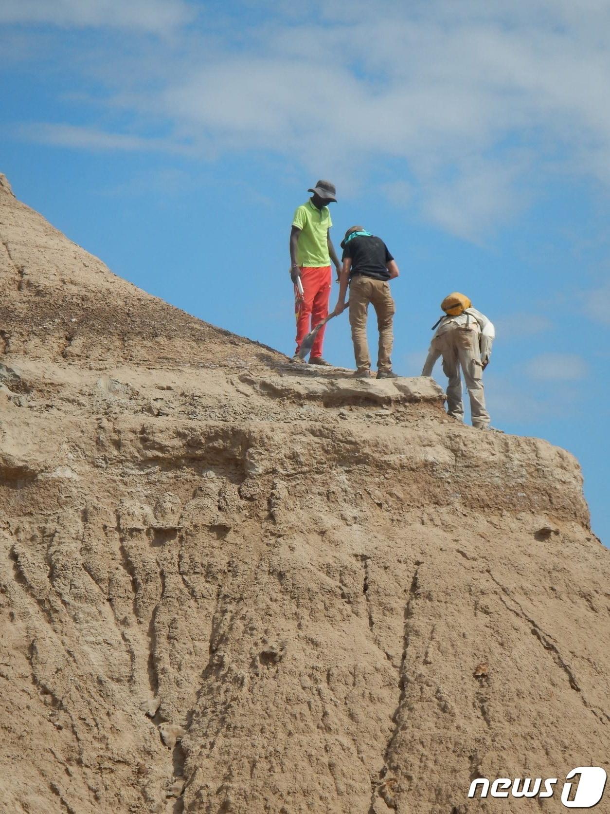 본문 이미지 - 에티오피아 남서부 오모 키비시 지질층에서 연구자들이 발굴 작업을 하고 있다. 2022.01.13/news1 ⓒ 로이터=뉴스1 ⓒ News1 김민수 기자
