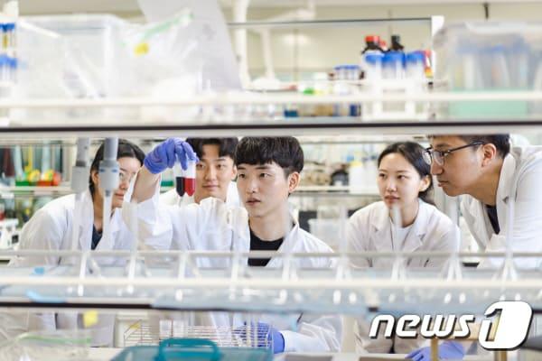 본문 이미지 - 전북대학교가 국내 4년제 대학 가운데 연구비가 11번째로 많은 것으로 나타났다. 또한 교수 1인당 연구비는 국가거점국립대 중 가장 많았다. 사진은 연구모습.ⓒ 뉴스1