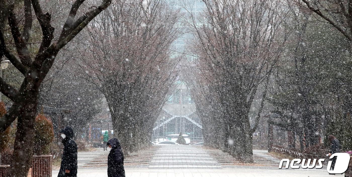 13일 대전·충남엔 가끔 비 또는 눈이 내리는 곳이 있을 것으로 예보됐다. 대전 서구 보라매공원 일대에서 시민이 눈을 맞으며 이동하고 있다. /뉴스1 ⓒ News1 김기태 기자